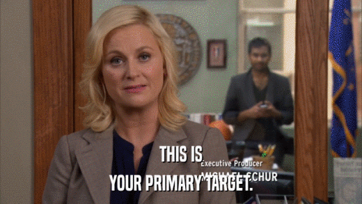 THIS IS YOUR PRIMARY TARGET. 