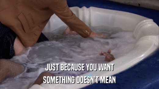 JUST BECAUSE YOU WANT SOMETHING DOESN'T MEAN 