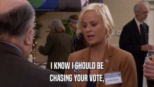 I KNOW I SHOULD BE CHASING YOUR VOTE, 