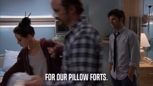 FOR OUR PILLOW FORTS.  