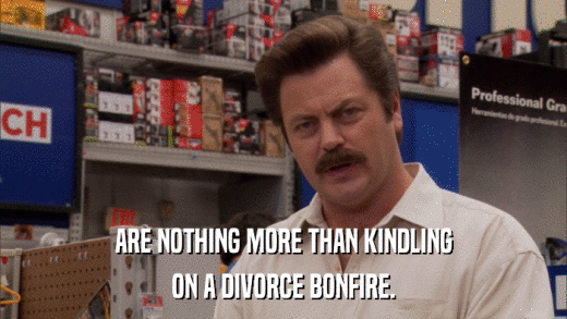ARE NOTHING MORE THAN KINDLING ON A DIVORCE BONFIRE. 