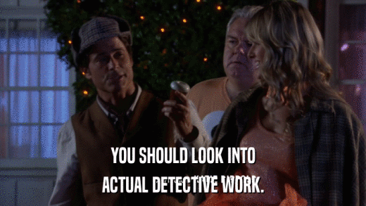 YOU SHOULD LOOK INTO ACTUAL DETECTIVE WORK. 