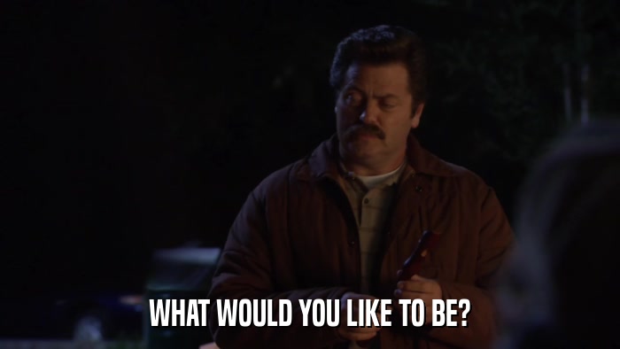 WHAT WOULD YOU LIKE TO BE?  