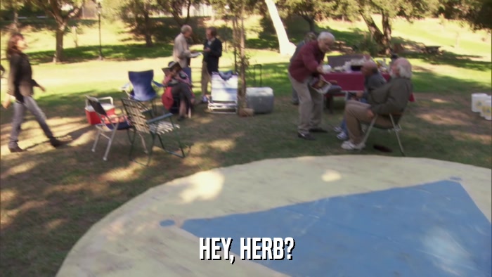 HEY, HERB?  