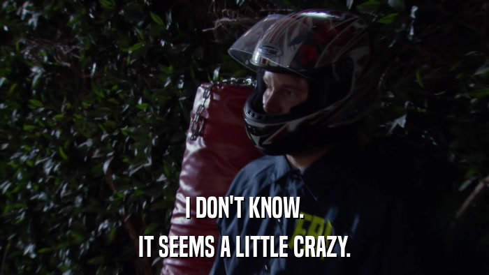 I DON'T KNOW. IT SEEMS A LITTLE CRAZY. 