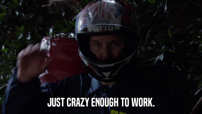 JUST CRAZY ENOUGH TO WORK.  