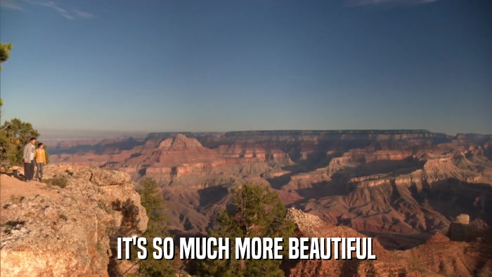 IT'S SO MUCH MORE BEAUTIFUL  