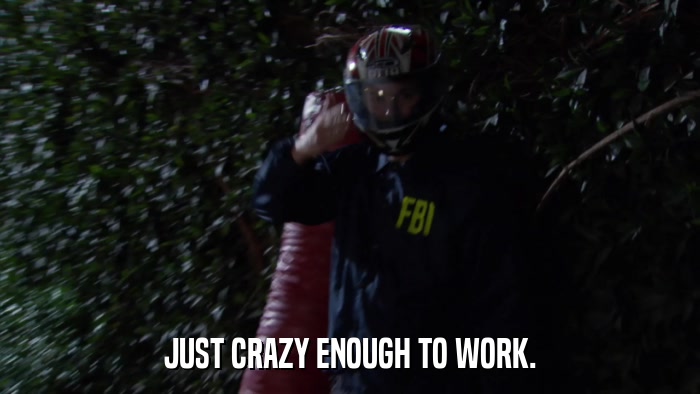 JUST CRAZY ENOUGH TO WORK.  