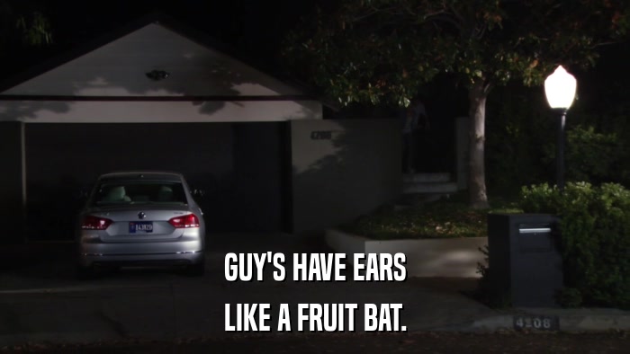 GUY'S HAVE EARS LIKE A FRUIT BAT. 