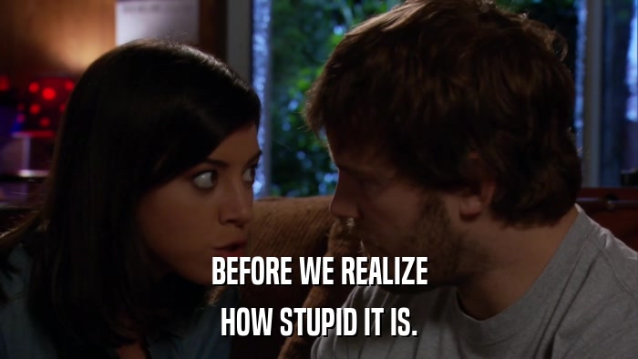 BEFORE WE REALIZE HOW STUPID IT IS. 