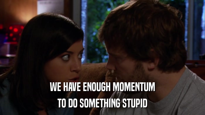 WE HAVE ENOUGH MOMENTUM TO DO SOMETHING STUPID 