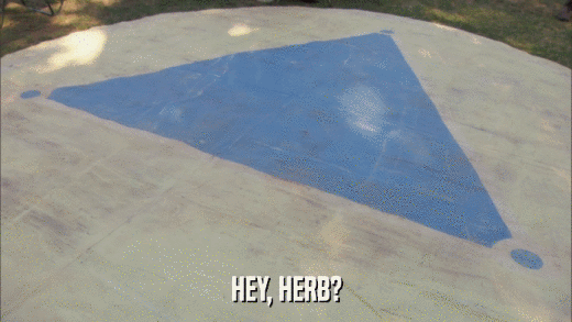 HEY, HERB?  