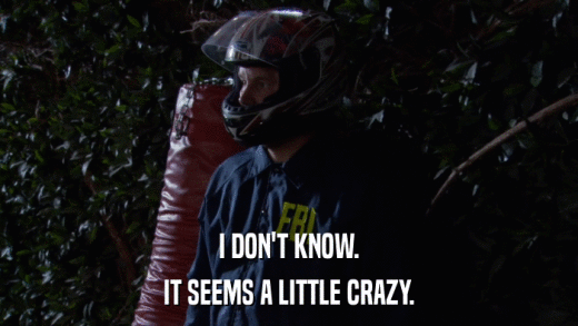 I DON'T KNOW. IT SEEMS A LITTLE CRAZY. 