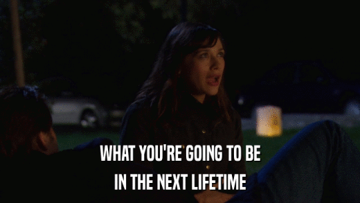 WHAT YOU'RE GOING TO BE IN THE NEXT LIFETIME 