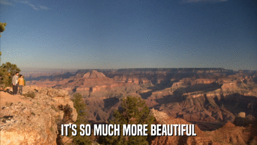 IT'S SO MUCH MORE BEAUTIFUL  