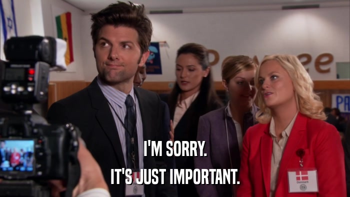 I'M SORRY. IT'S JUST IMPORTANT. 