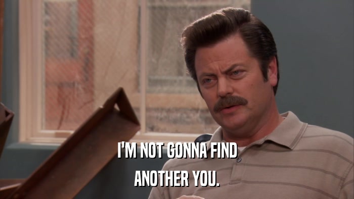 I'M NOT GONNA FIND ANOTHER YOU. 