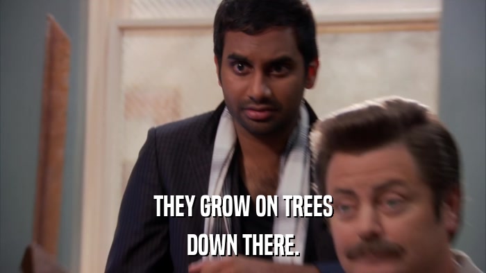 THEY GROW ON TREES DOWN THERE. 