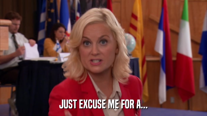 JUST EXCUSE ME FOR A...  