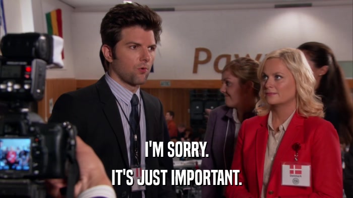 I'M SORRY. IT'S JUST IMPORTANT. 