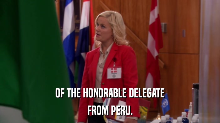 OF THE HONORABLE DELEGATE FROM PERU. 