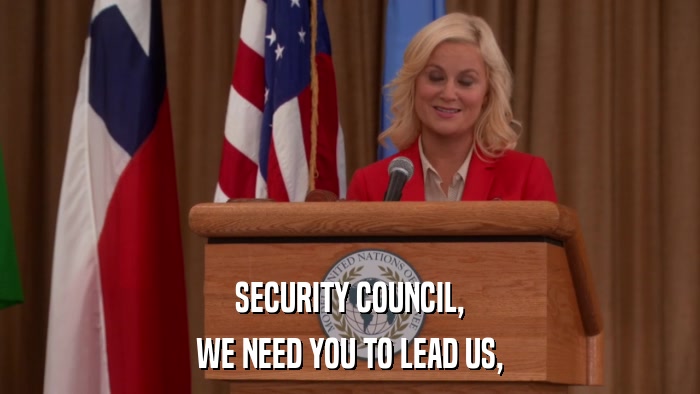 SECURITY COUNCIL, WE NEED YOU TO LEAD US, 