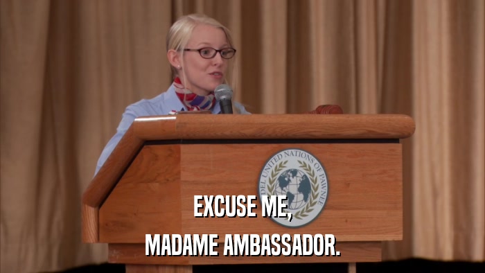 EXCUSE ME, MADAME AMBASSADOR. 