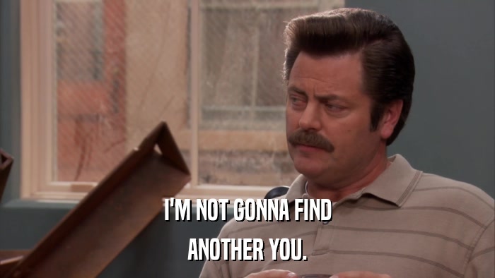 I'M NOT GONNA FIND ANOTHER YOU. 