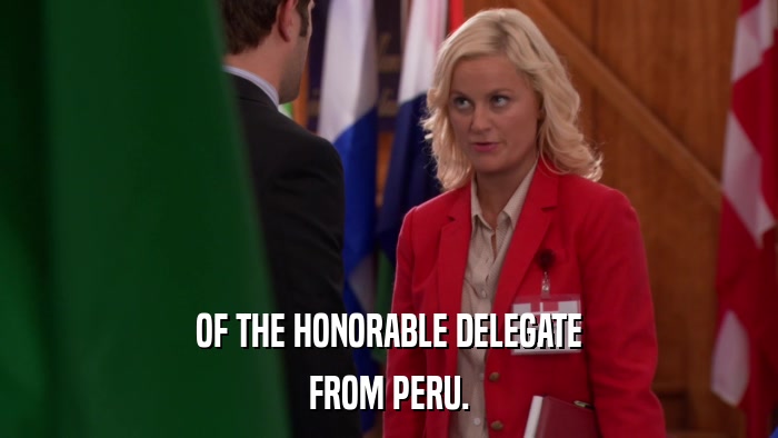 OF THE HONORABLE DELEGATE FROM PERU. 