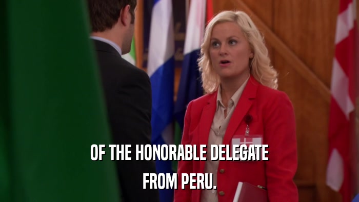 OF THE HONORABLE DELEGATE FROM PERU. 