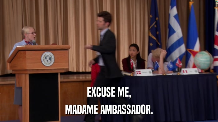 EXCUSE ME, MADAME AMBASSADOR. 