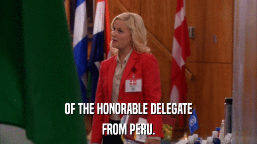OF THE HONORABLE DELEGATE FROM PERU. 