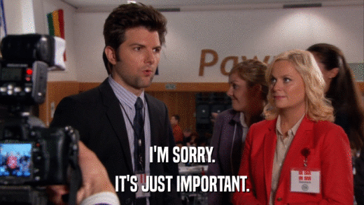 I'M SORRY. IT'S JUST IMPORTANT. 