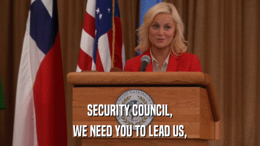 SECURITY COUNCIL, WE NEED YOU TO LEAD US, 