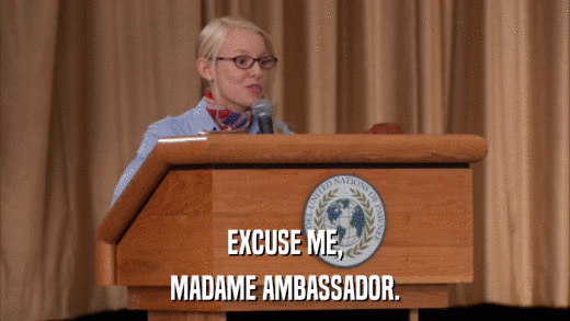 EXCUSE ME, MADAME AMBASSADOR. 