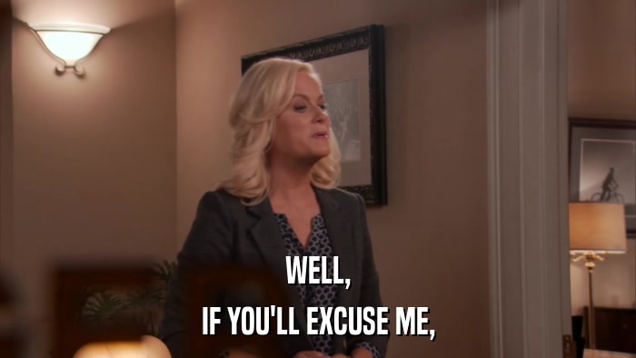 WELL, IF YOU'LL EXCUSE ME, 