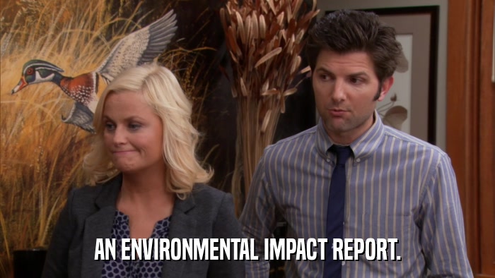 AN ENVIRONMENTAL IMPACT REPORT.  