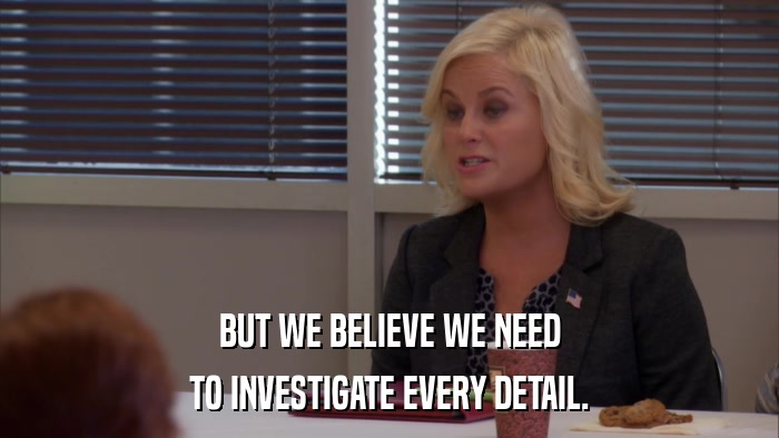BUT WE BELIEVE WE NEED TO INVESTIGATE EVERY DETAIL. 
