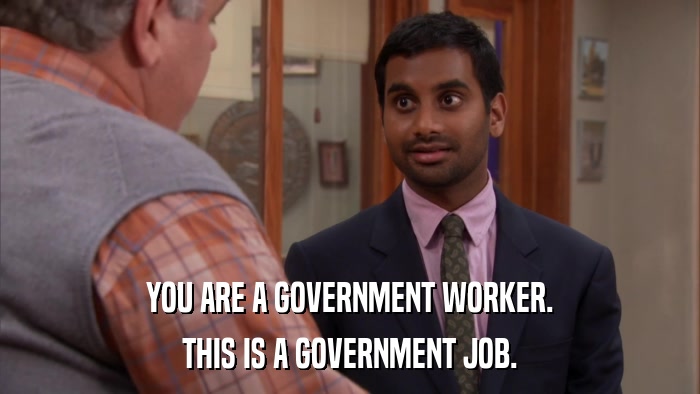 YOU ARE A GOVERNMENT WORKER. THIS IS A GOVERNMENT JOB. 