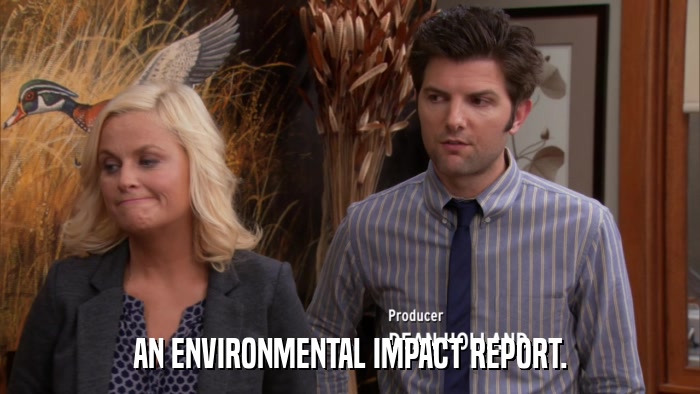 AN ENVIRONMENTAL IMPACT REPORT.  