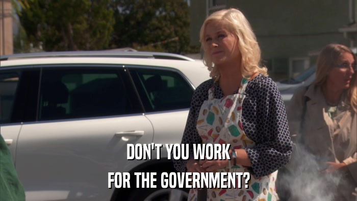 DON'T YOU WORK FOR THE GOVERNMENT? 