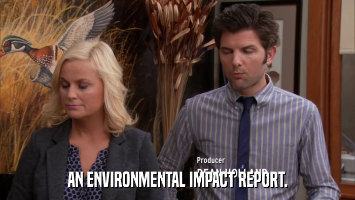 AN ENVIRONMENTAL IMPACT REPORT.  