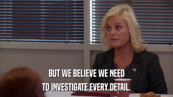 BUT WE BELIEVE WE NEED TO INVESTIGATE EVERY DETAIL. 