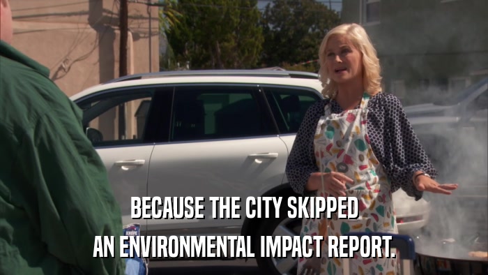 BECAUSE THE CITY SKIPPED AN ENVIRONMENTAL IMPACT REPORT. 