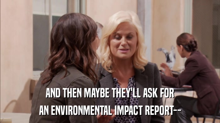 AND THEN MAYBE THEY'LL ASK FOR AN ENVIRONMENTAL IMPACT REPORT-- 