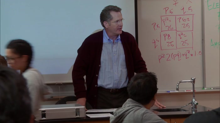 THE CLASS I'LL BE TEACHING THIS SEMESTER 