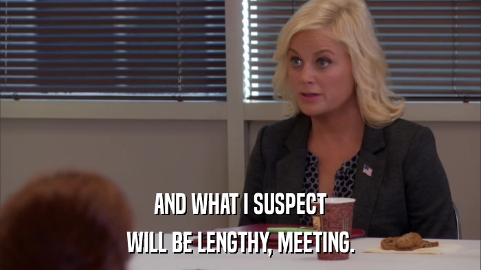 AND WHAT I SUSPECT WILL BE LENGTHY, MEETING. 