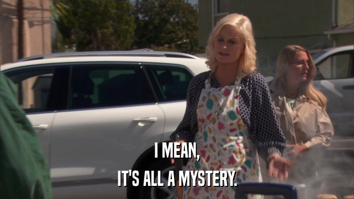 I MEAN, IT'S ALL A MYSTERY. 