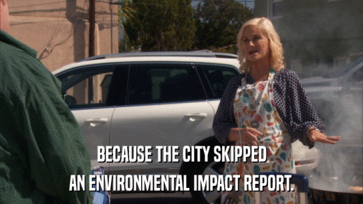 BECAUSE THE CITY SKIPPED AN ENVIRONMENTAL IMPACT REPORT. 