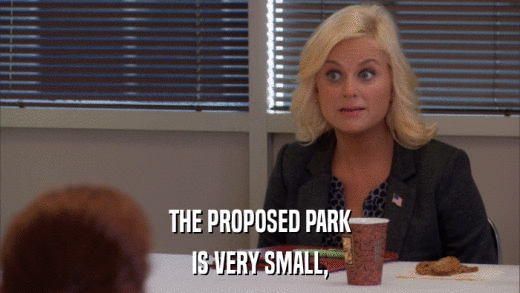 THE PROPOSED PARK IS VERY SMALL, 